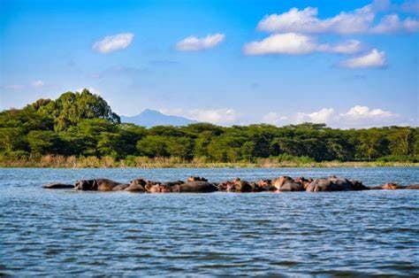 Image of lake_victoria