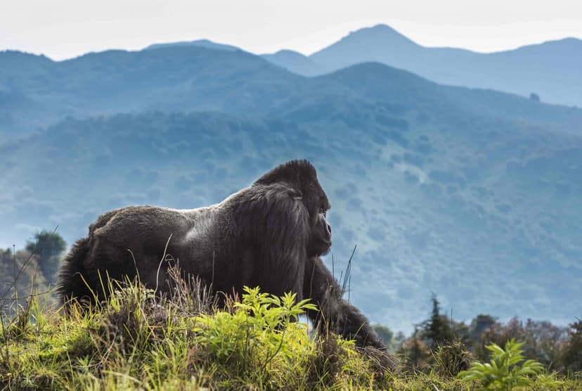 volcanoes_national_park