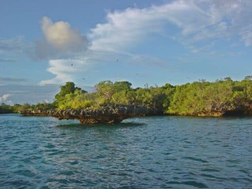 Image of aldabra_atoll