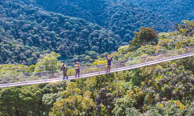 Image of nyungwe_forest_national_park